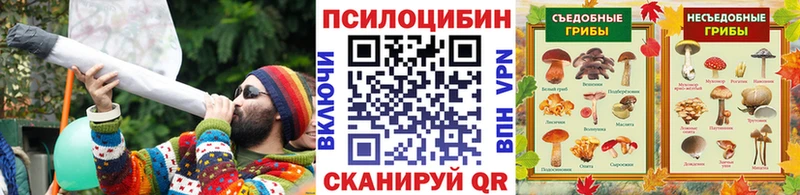 Купить где  Анива  Галлюциногенные грибы GOLDEN TEACHER 